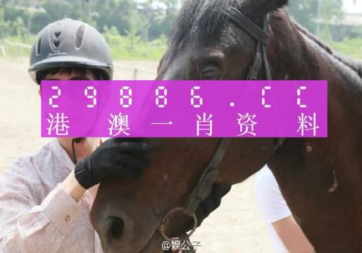 澳门一肖一码必中一码，实时解答解释落实_静态版21.40.17