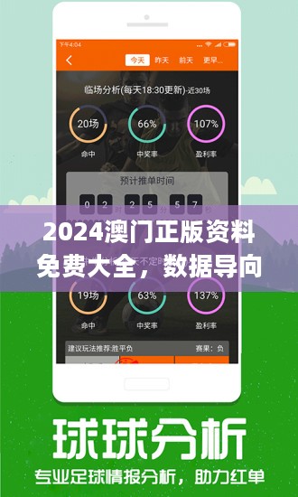 2024年正版资料免费大全挂牌，真实数据解释落实_纪念版32.85.66