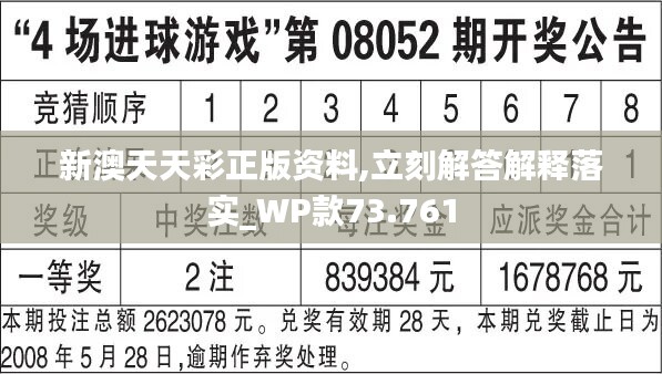 新澳天天彩精准资料，效率资料解释落实_优选版96.78.57